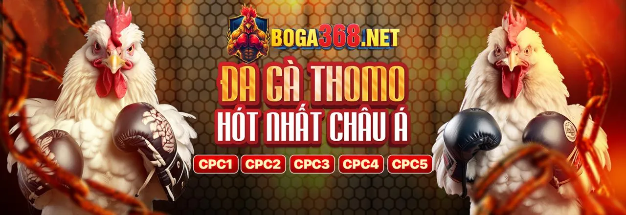Hình ảnh tiêu đề blog daga68 đá gà về tin tức cá cược thể thao và đá gà trực tuyến