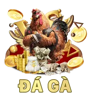 Bảo mật thông tin daga68 đá gà